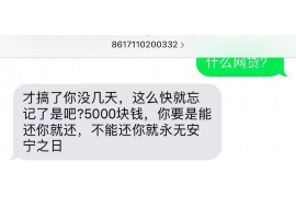 乐都专业讨债公司有哪些核心服务？