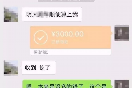 乐都遇到恶意拖欠？专业追讨公司帮您解决烦恼